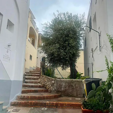 Dimora Bruno E Rubina 卡普里